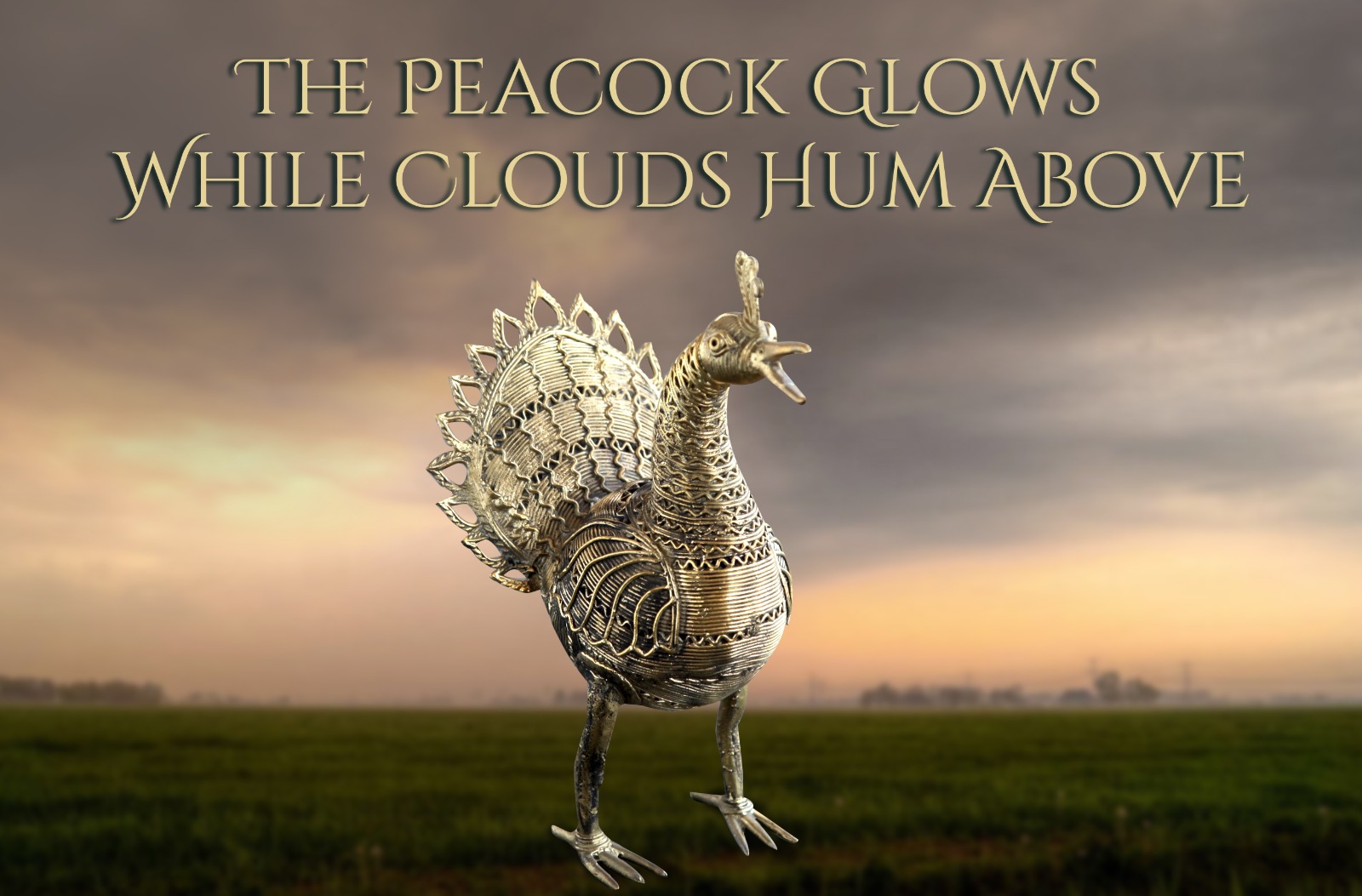The Peacock Glows While Clouds Hum Above